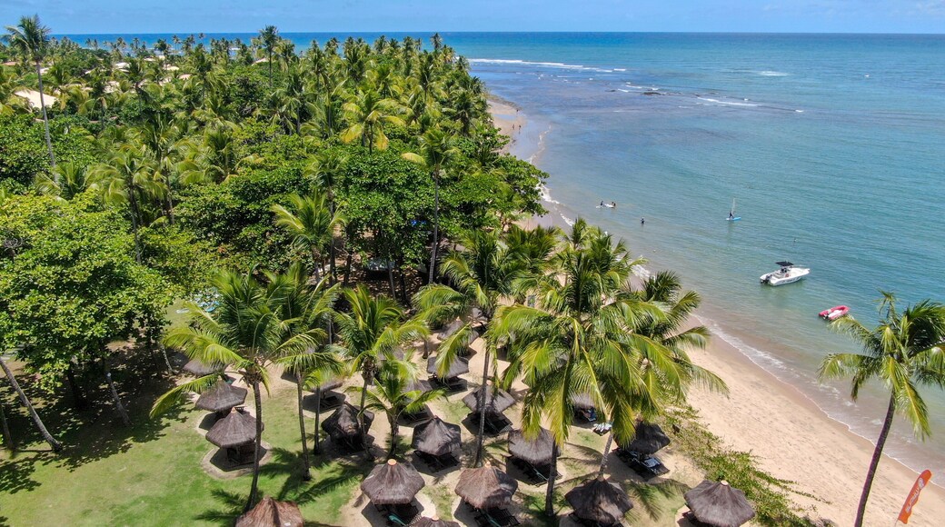 Aerial view of tropical white sand beach, palm trees, umbrellas and turquoise clear sea water in Praia do Forte, Bahia, Brazil. Travel tropical destination in Brazil