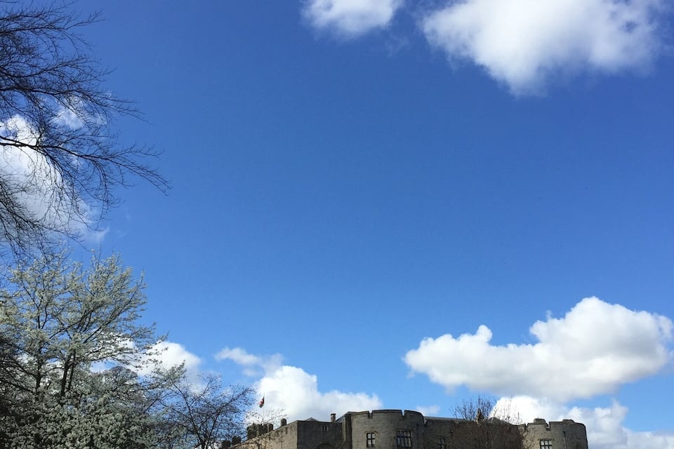 A castle surrounded by a field of daffodils under a blue sky with clouds.
