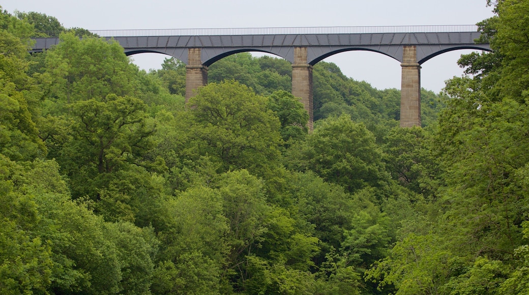 Acueducto de Pontcysyllte que incluye un puente y imágenes de bosques