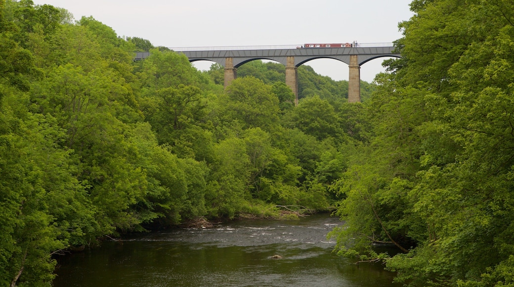 Pontcysyllte Aquaduct which includes a river or creek, forests and a bridge
