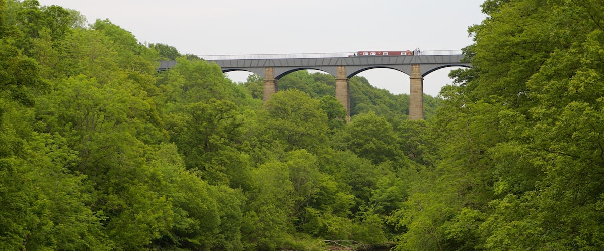Pontcysyllte Aquaduct which includes a river or creek, forests and a bridge