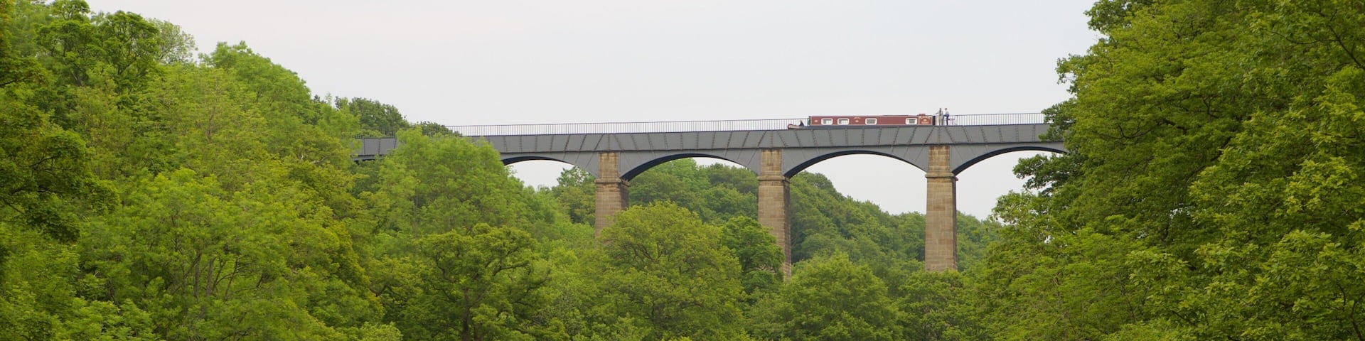 Pontcysyllte Aquaduct which includes a river or creek, forests and a bridge
