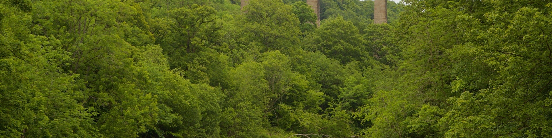 Pontcysyllte Aquaduct which includes a river or creek, forests and a bridge