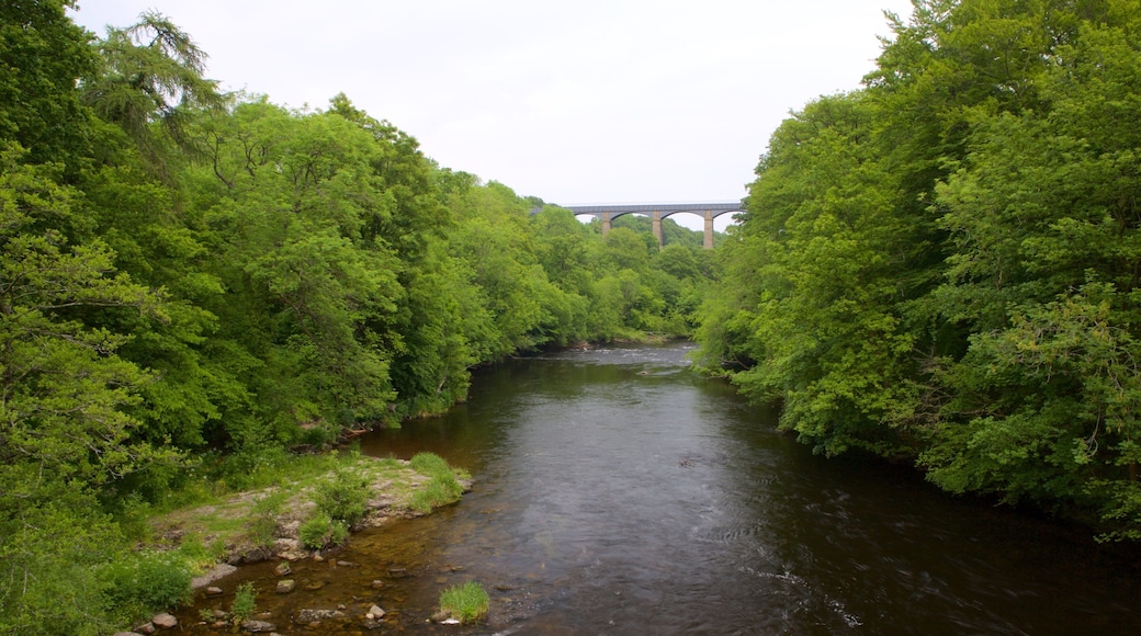 Pontcysyllte Aquaduct showing forests and a river or creek