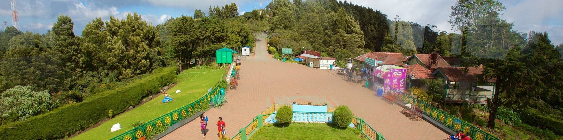 Doddabetta Peak which includes a garden