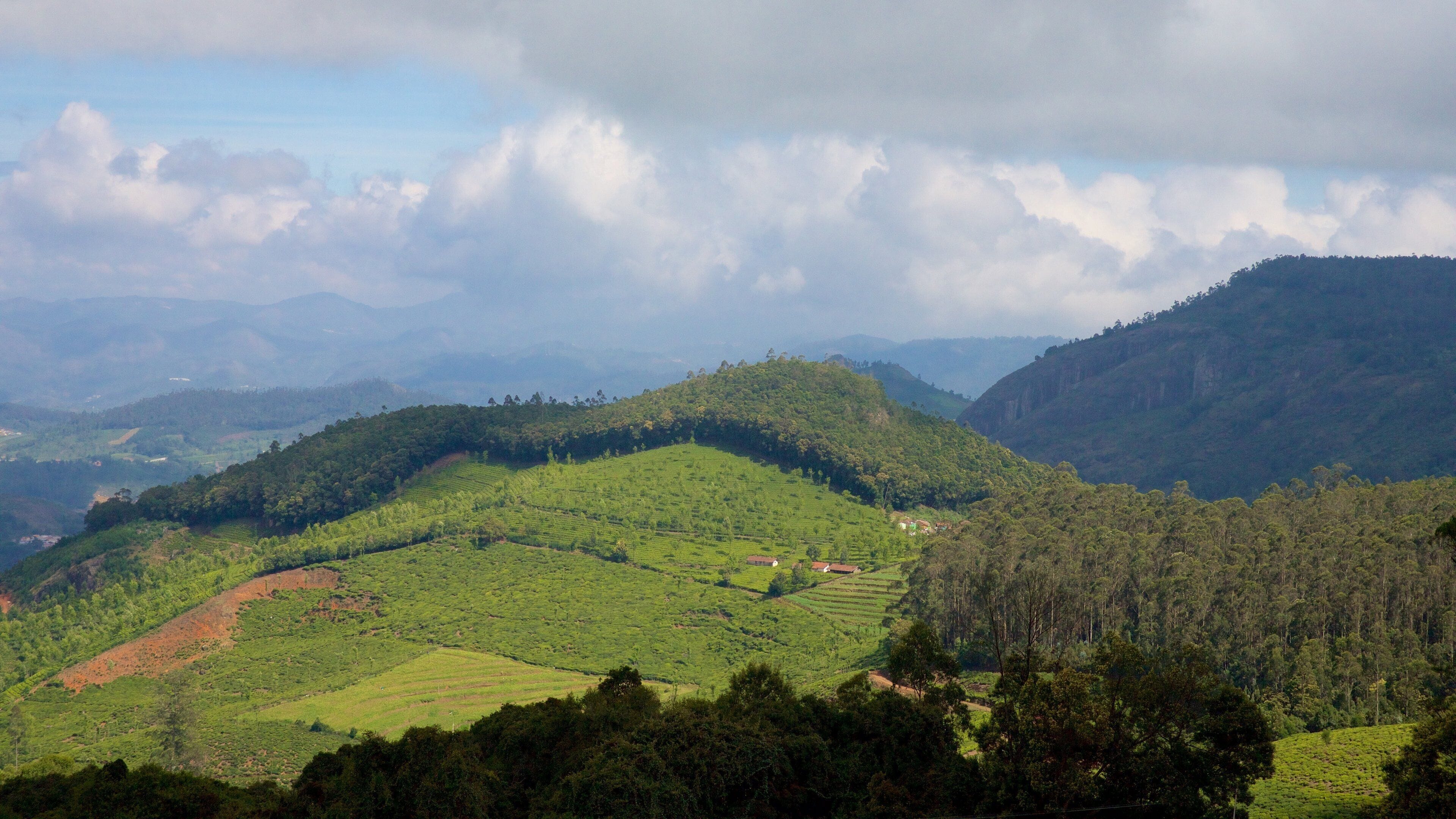 Pico de Doddabetta que inclui fazenda e cenas tranquilas