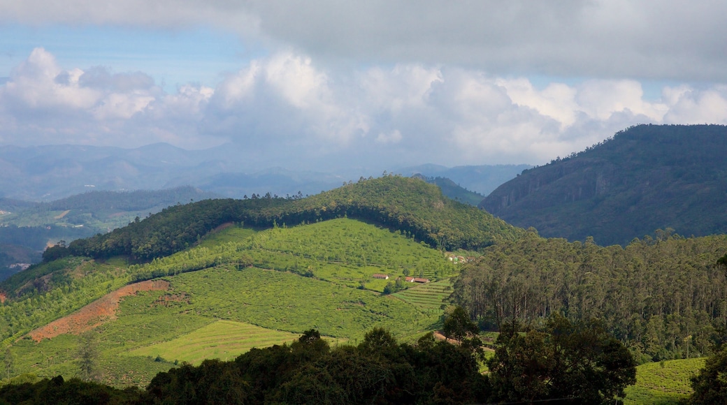 Pico de Doddabetta que inclui fazenda e cenas tranquilas