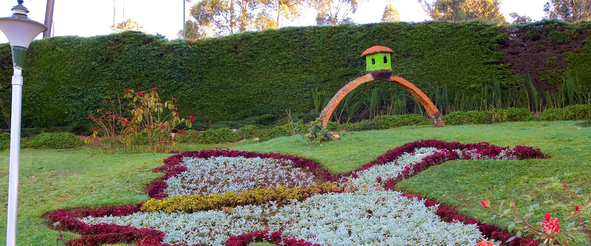 Ooty Rose Garden som viser blomster og hage
