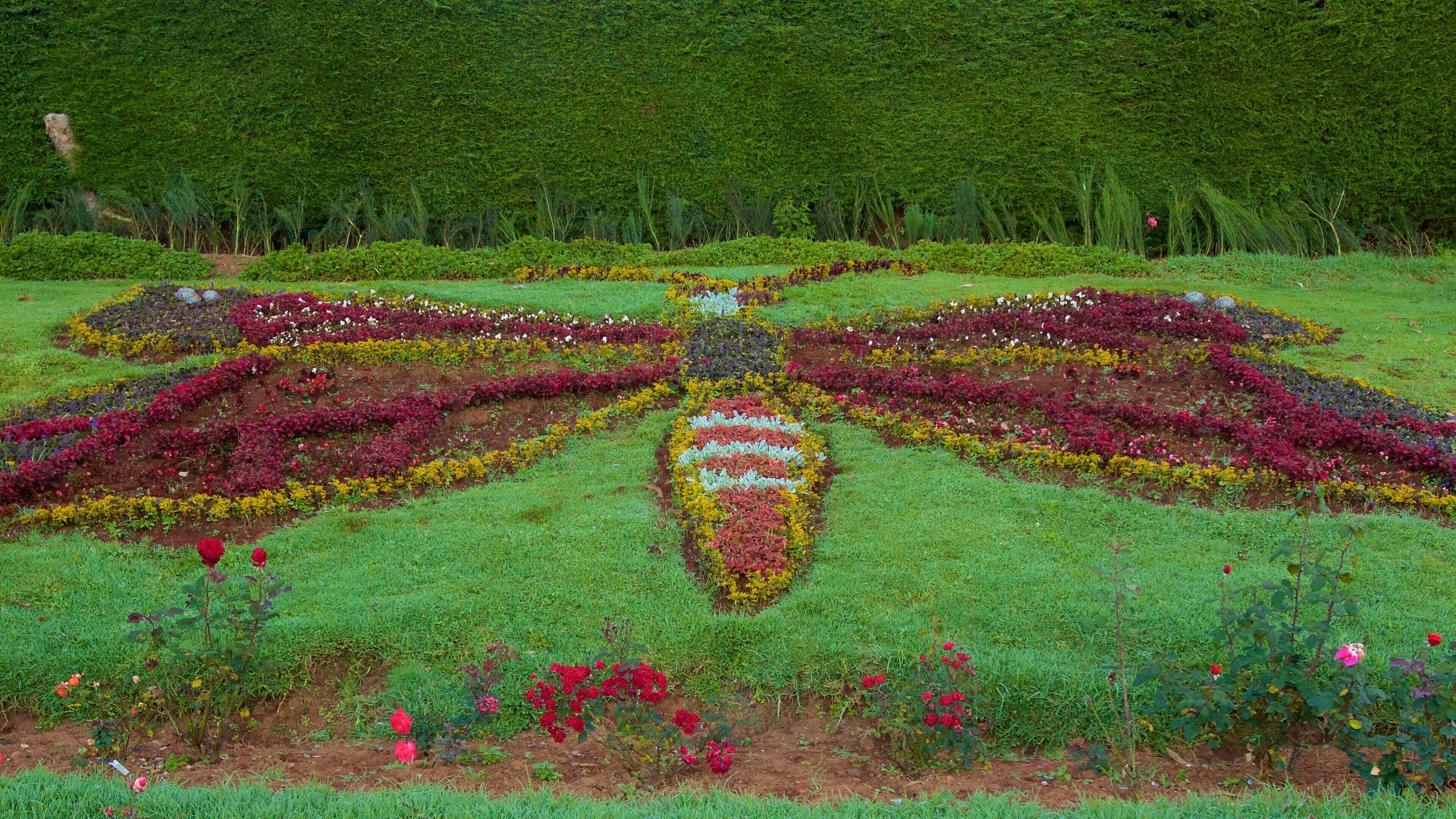烏塔卡蒙德玫瑰園 呈现出 花朵 和 公園