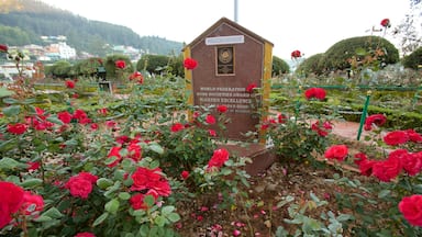 Un jardín de rosas con una placa, rosas rojas y un paisaje montañoso al fondo.