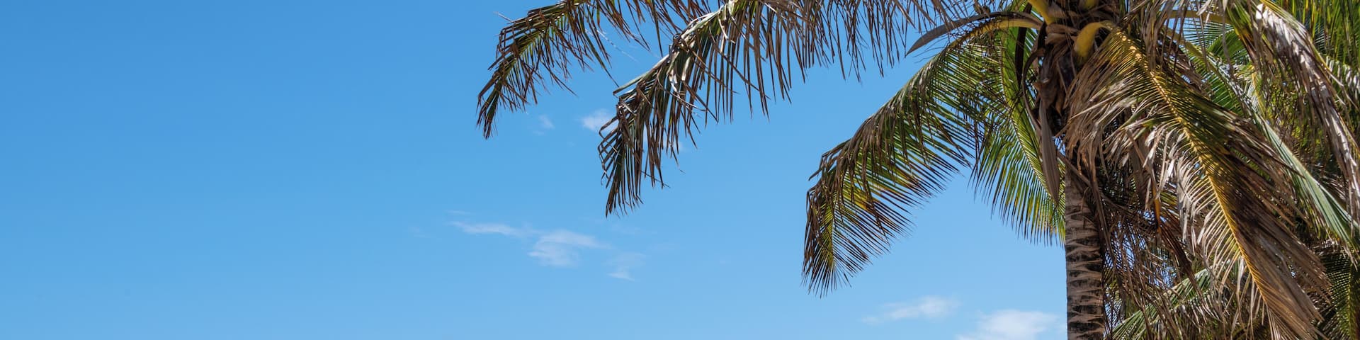 EyeEm Custom Shoots Q4 2018