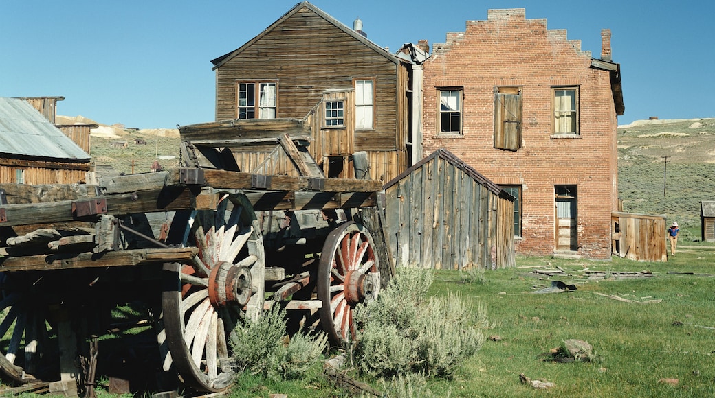 Sierra Nevada Ghost Town, California