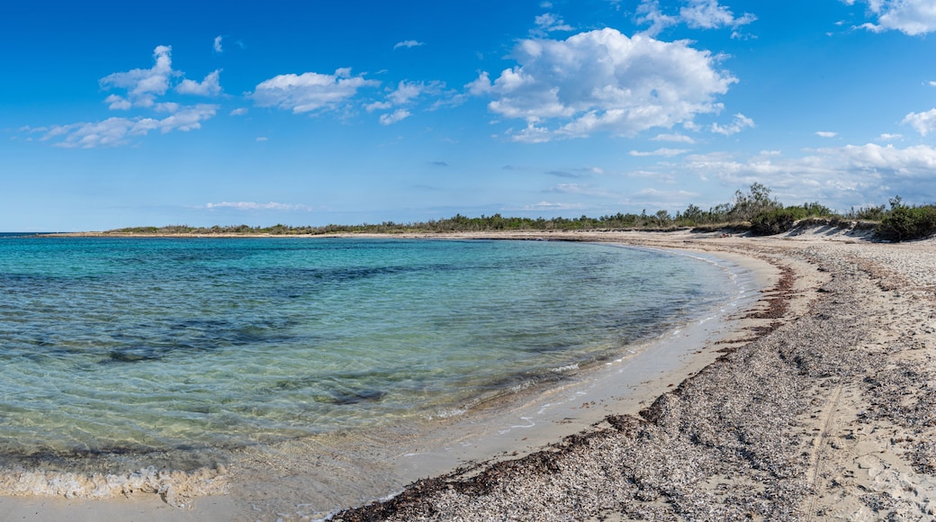 Ein Strand mit klarem tĂŒrkisblauem Wasser, einem sandigen Ufer und einer fernen Baumlinie unter blauem Himmel mit Wolken.