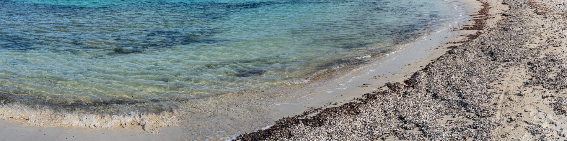 A beach with clear turquoise water, a sandy shore, and a distant tree line under a blue sky with clouds.