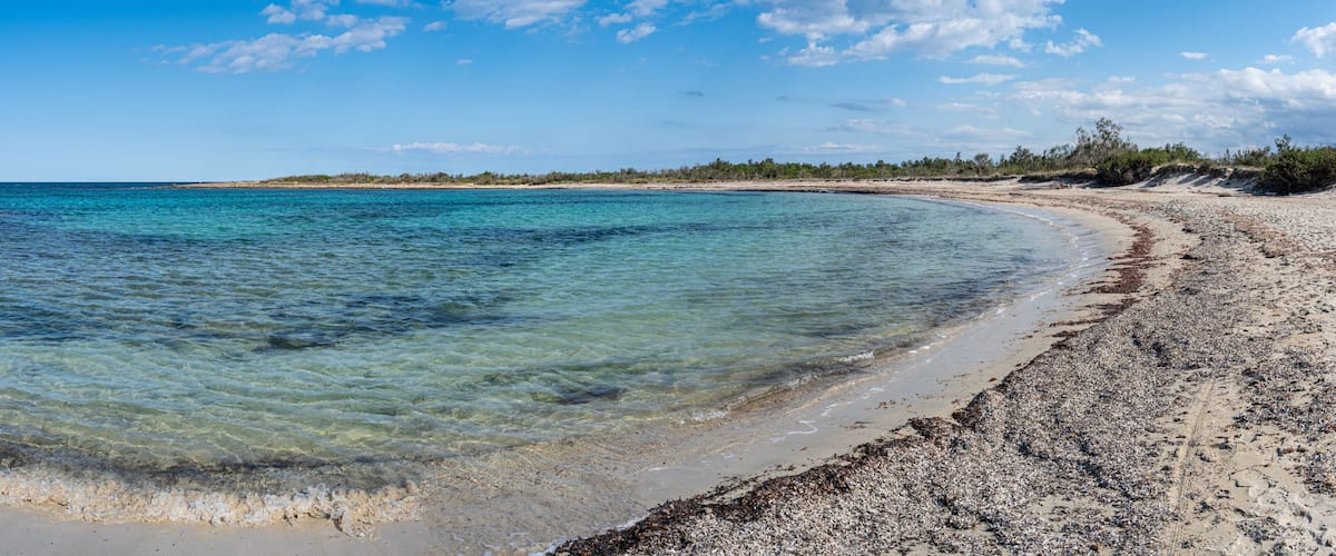 A beach with clear turquoise water, a sandy shore, and a distant tree line under a blue sky with clouds.