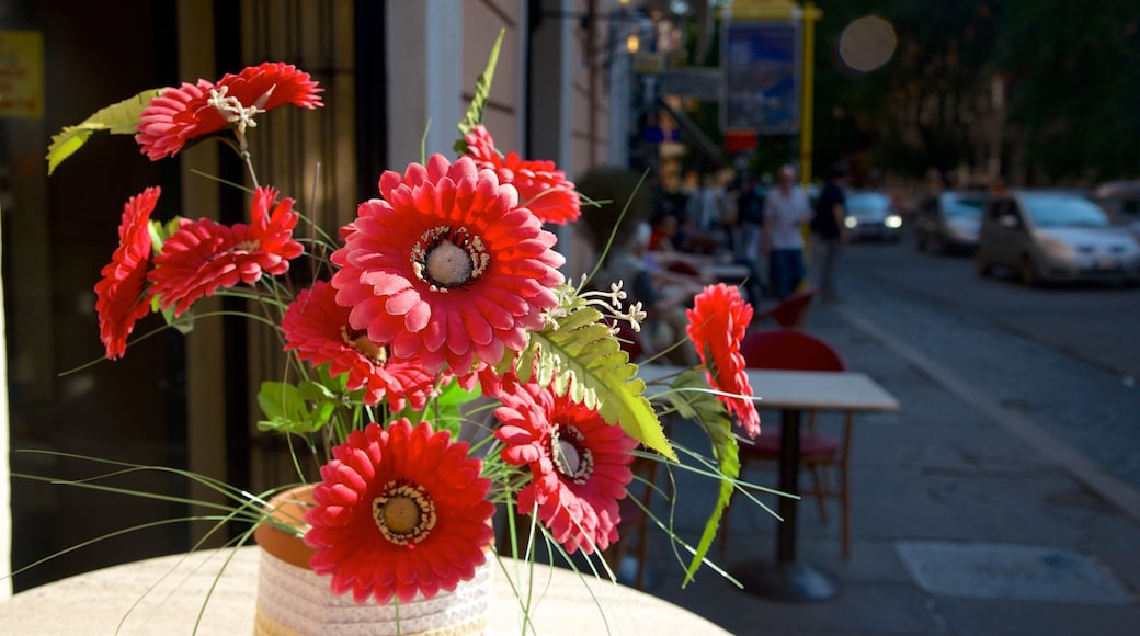 Sallustiano som inkluderer blomster og gatescener