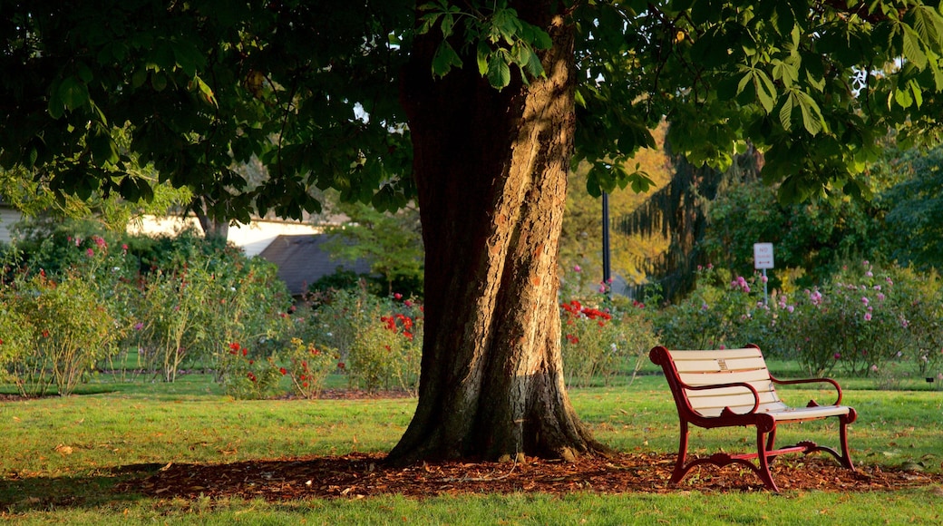 Bush House Museum ofreciendo un parque