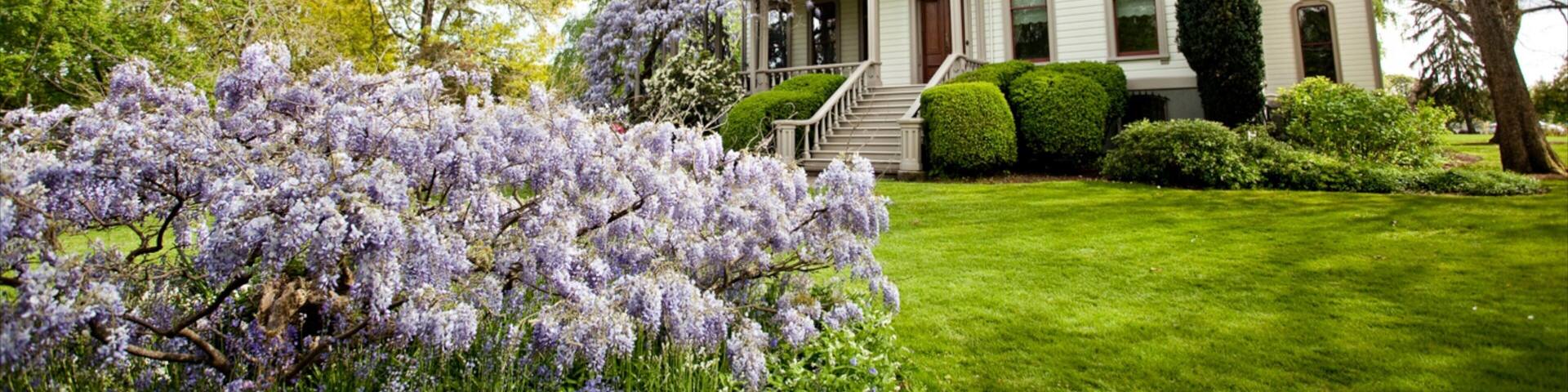 Bush House Museum mostrando una casa y flores