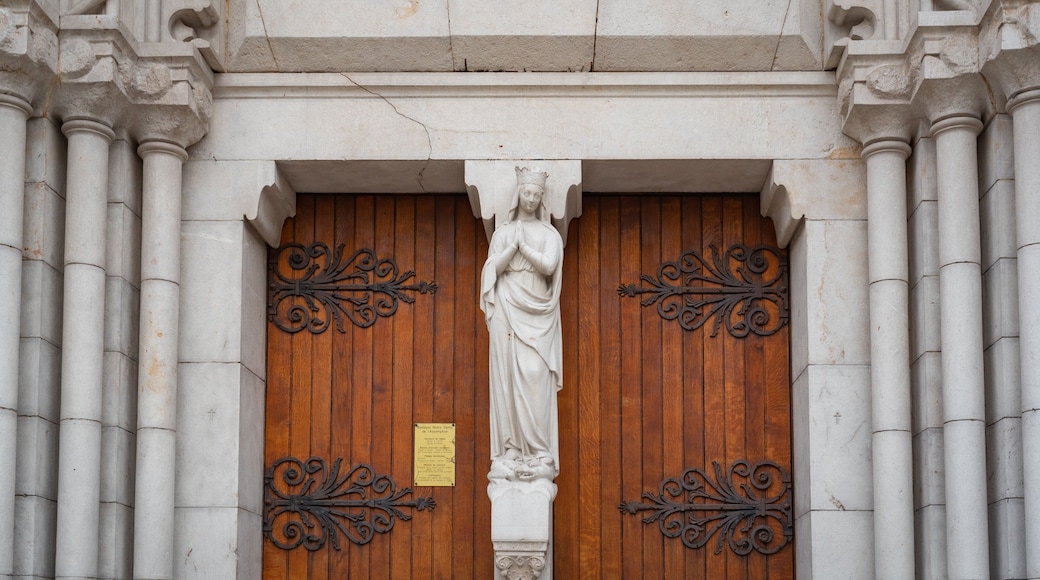 Basilique Notre Dame which includes heritage elements and religious aspects