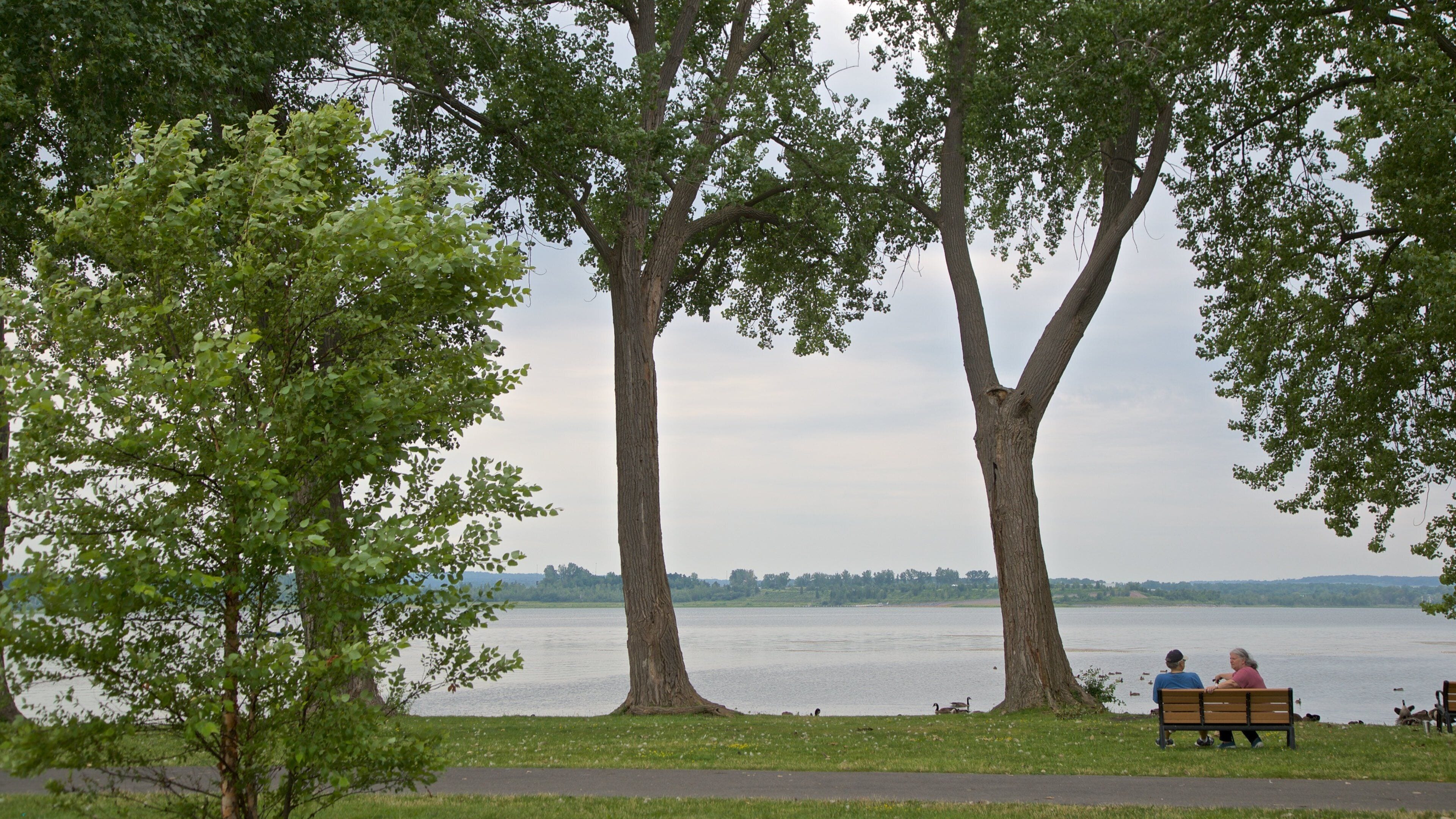 オノンダガ レイク パーク どの含み 庭園 と 湖あるいは泉 及び カップル