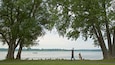 A lakeside park with large trees, ducks, and people walking.