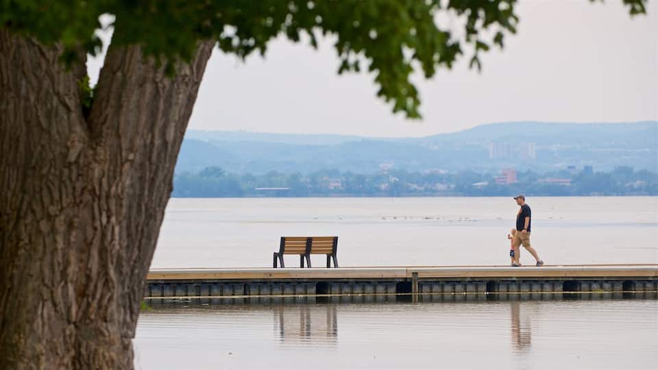 A calm river with a wooden bench and a tree in the foreground.