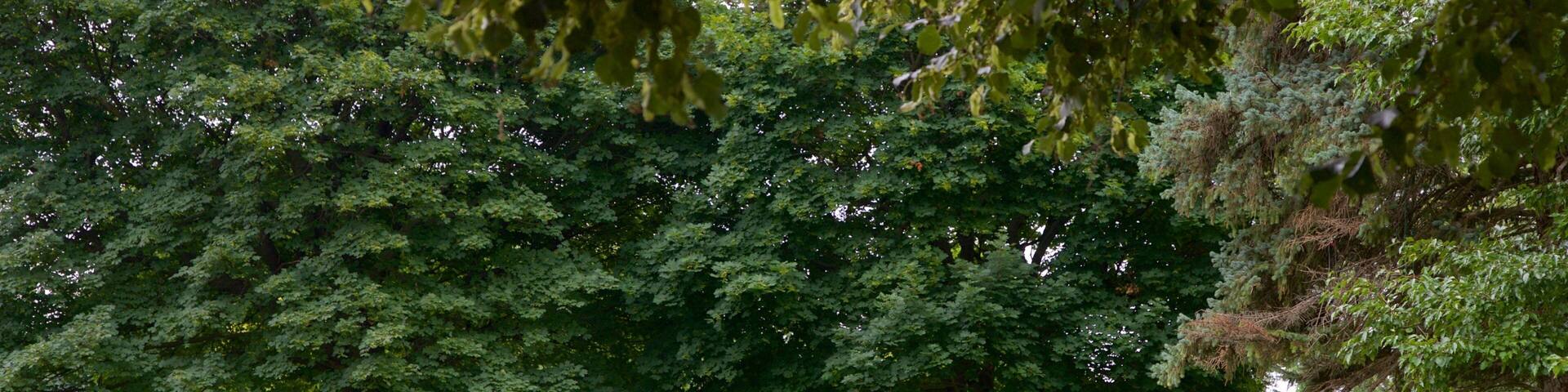 Onondaga Lake Park das einen Park