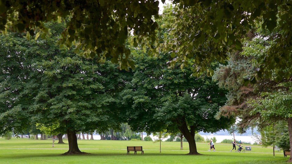A park with large trees, a grassy area, and a lake in the background.