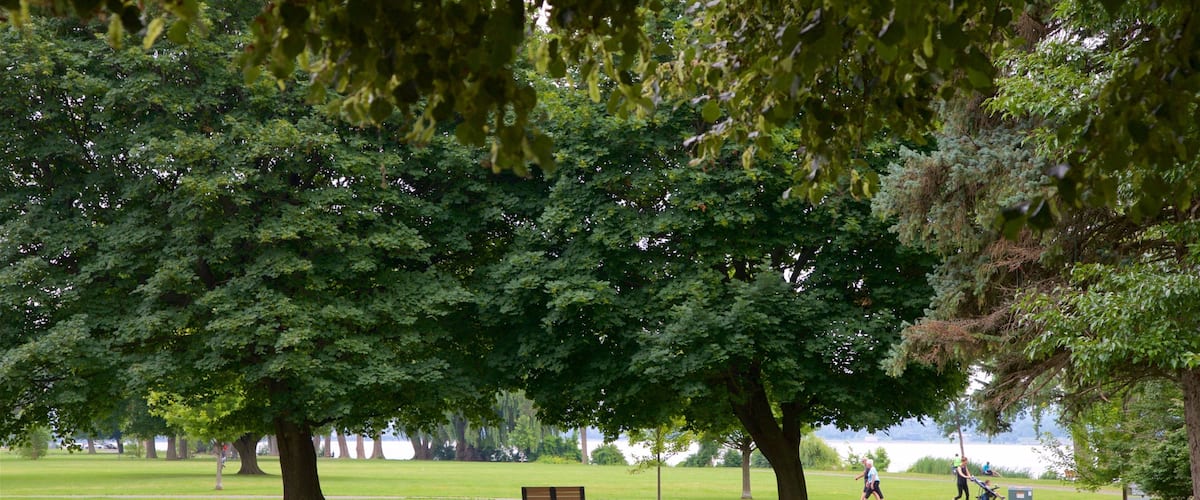 Onondaga Lake Park showing a park