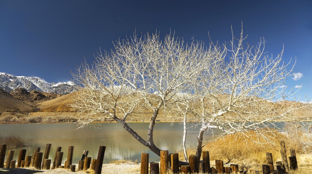 Diaz Lake Recreation Area