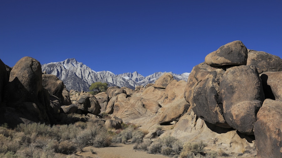 Un paysage désertique avec de gros rochers et une chaßne de montagnes en arriÚre-plan.