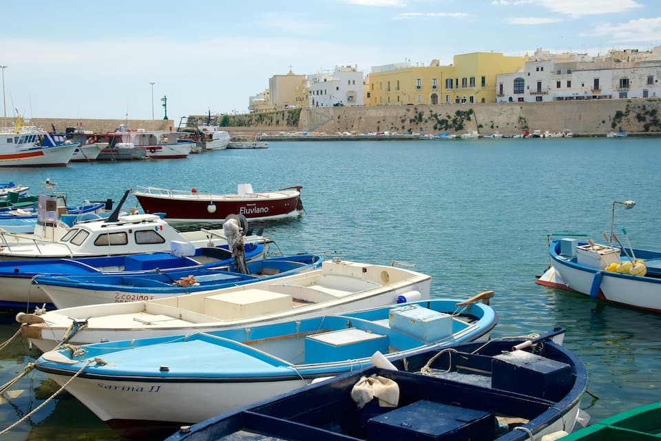 A marina with various boats docked, a clear blue sky, and buildings in the background.