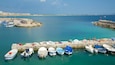 A marina with several boats docked, a pier, and a distant shoreline with buildings.