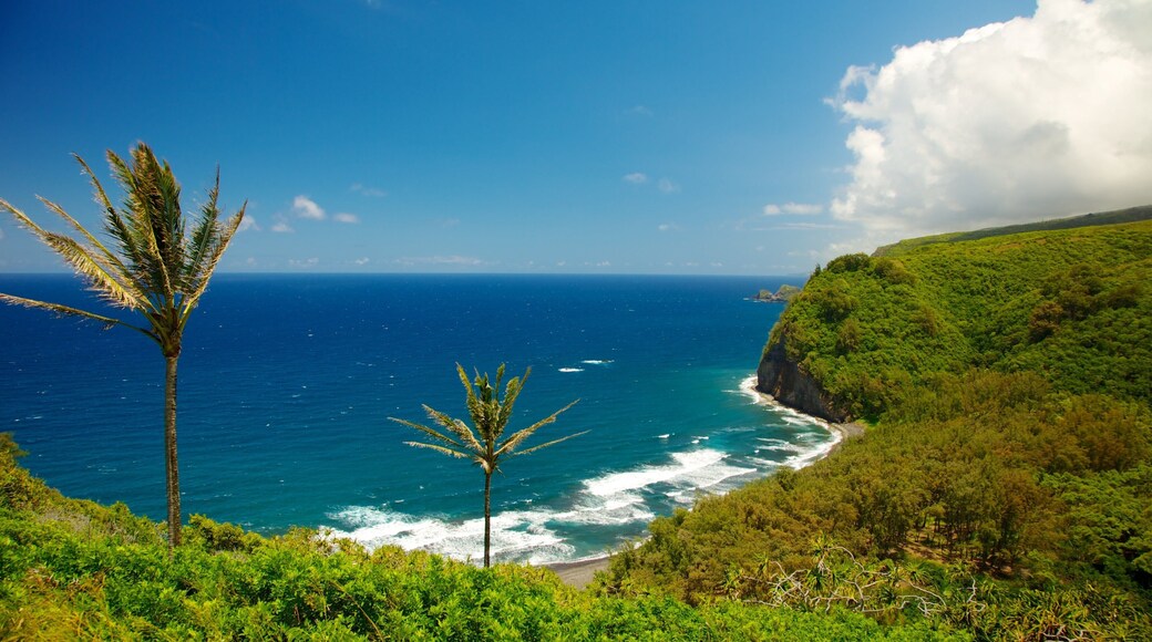 Pololu Valley Overlook which includes general coastal views, landscape views and tropical scenes