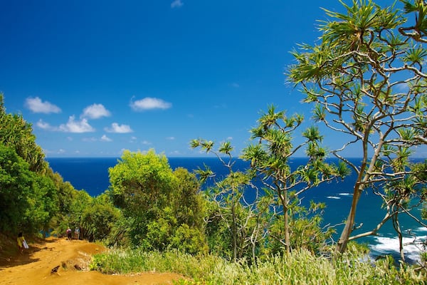 Panorámica de Pololu Valley ofreciendo vistas generales de la costa y vistas de paisajes