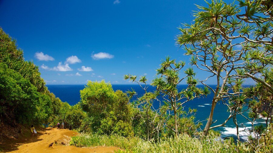 Pololu Valley Overlook showing general coastal views and landscape views