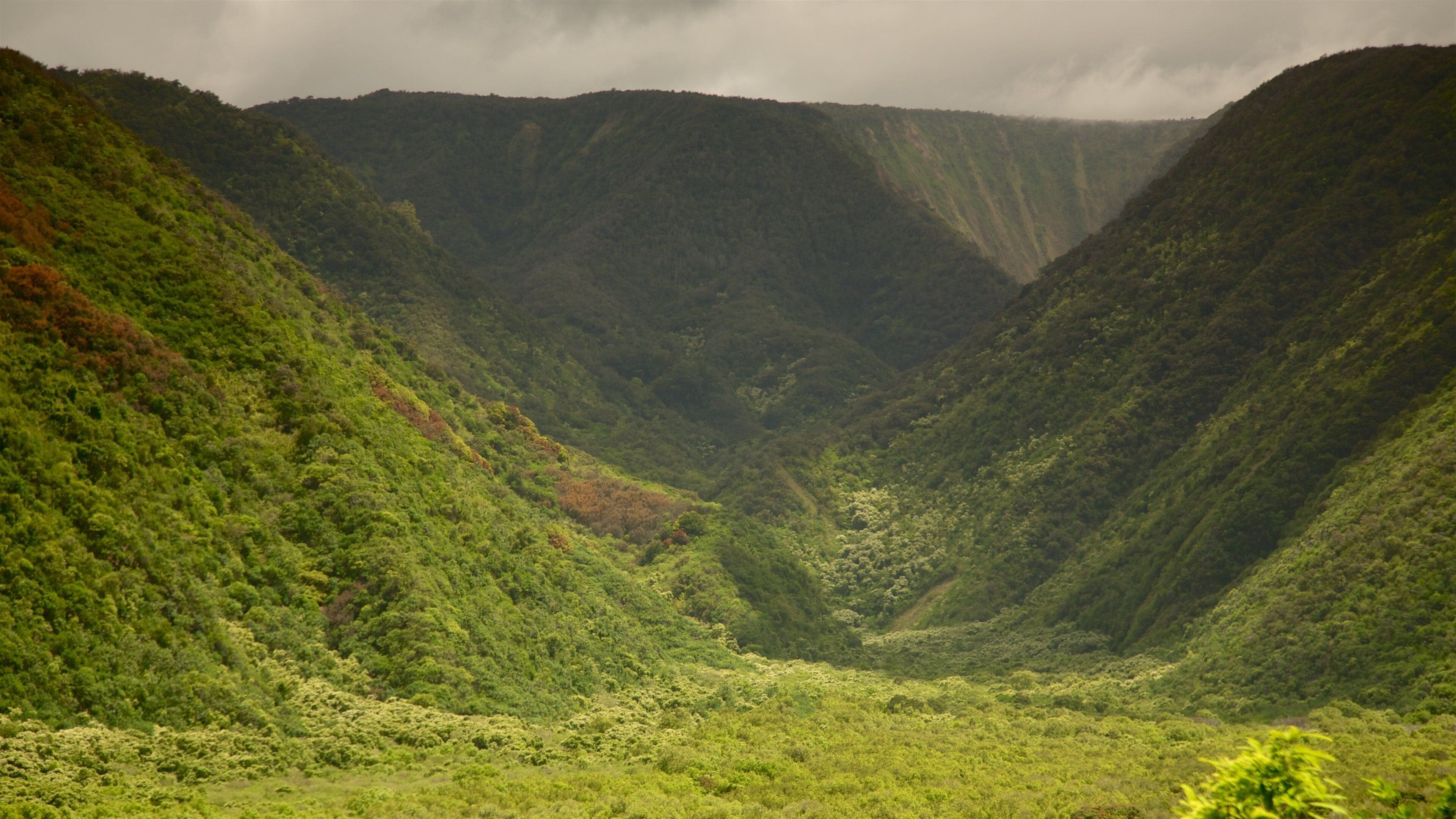 A lush green valley with steep hills and a river running through it.