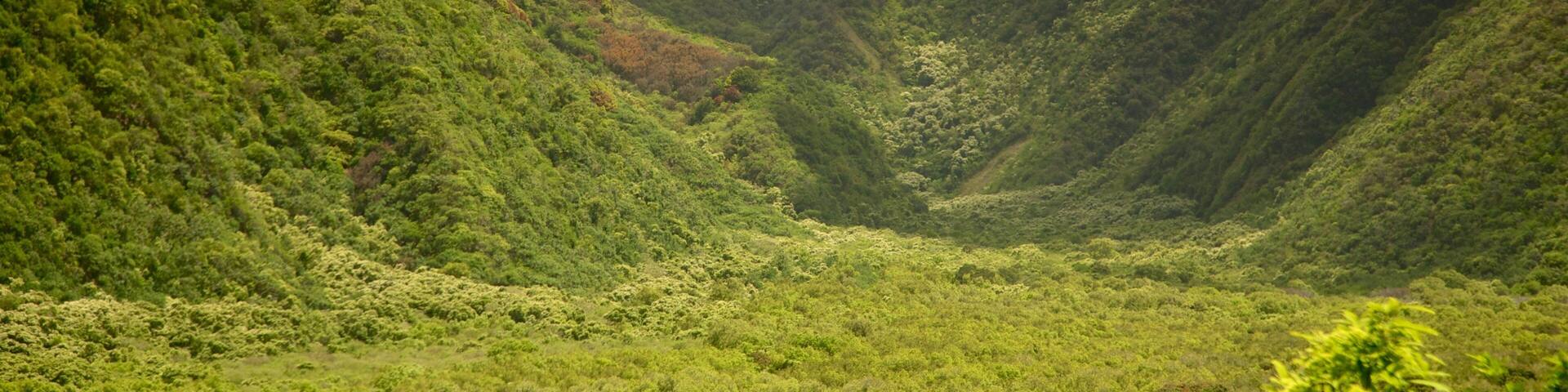 A lush green valley with steep hills and a river running through it.