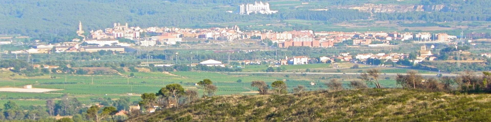 Panorama mirant l'Arboç i Banyeres del Penedès des de la carretera d'Aiguaviva