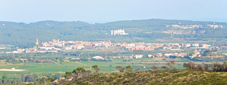 Una cittadina con un castello imponente su una collina, circondata da campi e edifici sparsi.