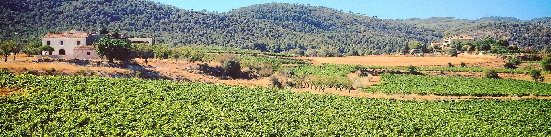 Barriada de l'Hostal