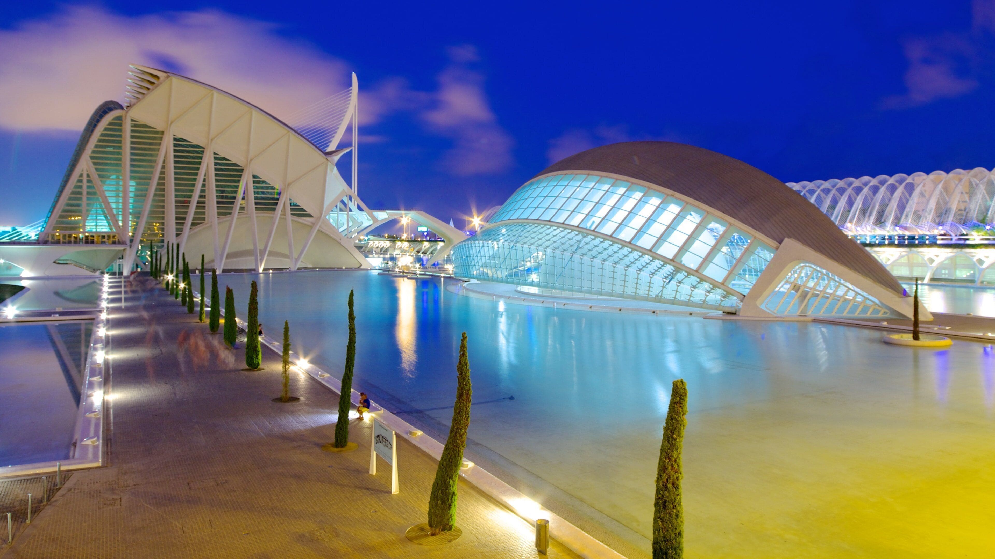 Uma estrutura arquitetônica moderna com piscina refletora e árvores de formas geométricas.