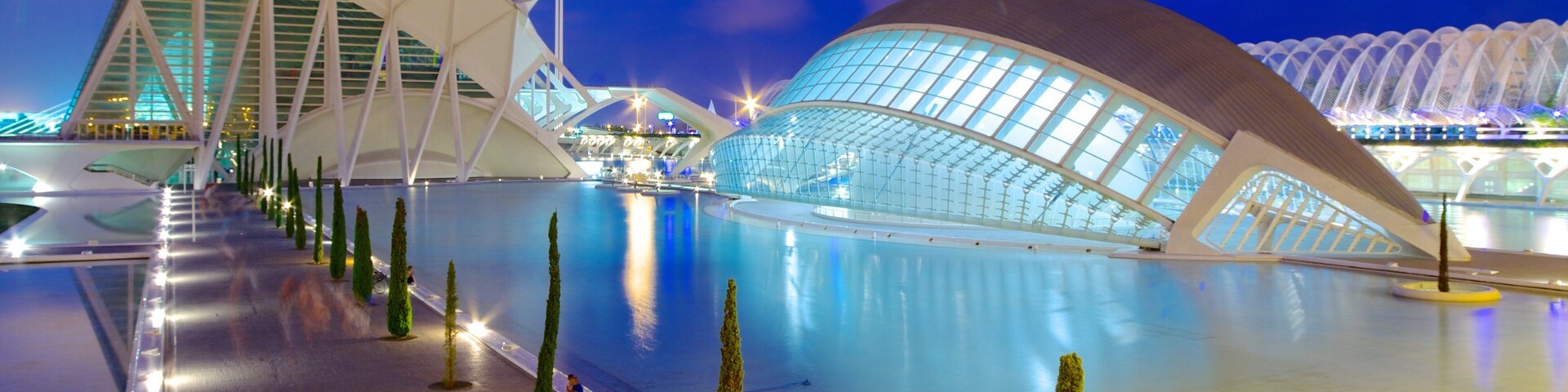 Uma estrutura arquitetônica moderna com piscina refletora e árvores de formas geométricas.