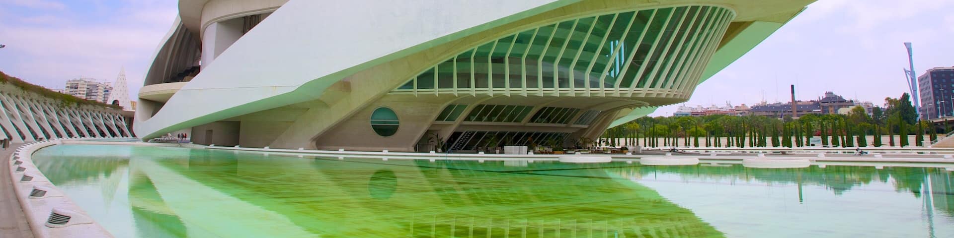 City of Arts and Sciences featuring a city and modern architecture