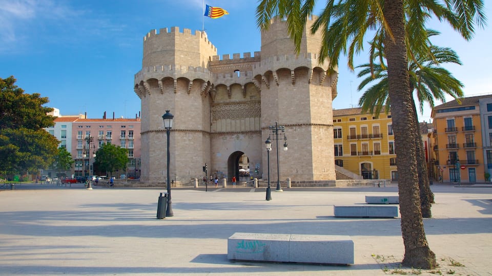 Valencia City Centre showing heritage architecture, chateau or palace and a city