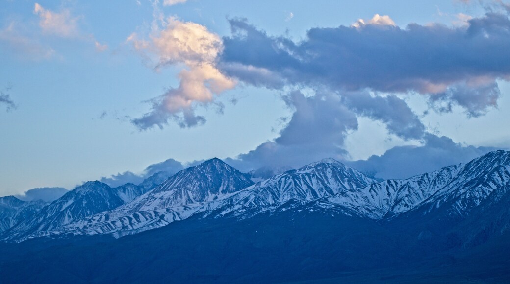 Công viên Thành phố Bishop