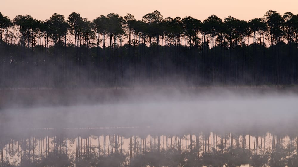 Sonnenaufgang am Cash River in Florida