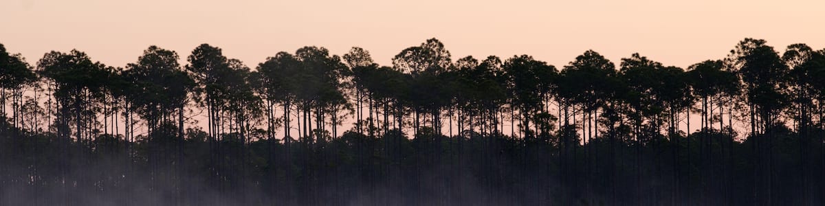 Sonnenaufgang am Cash River in Florida