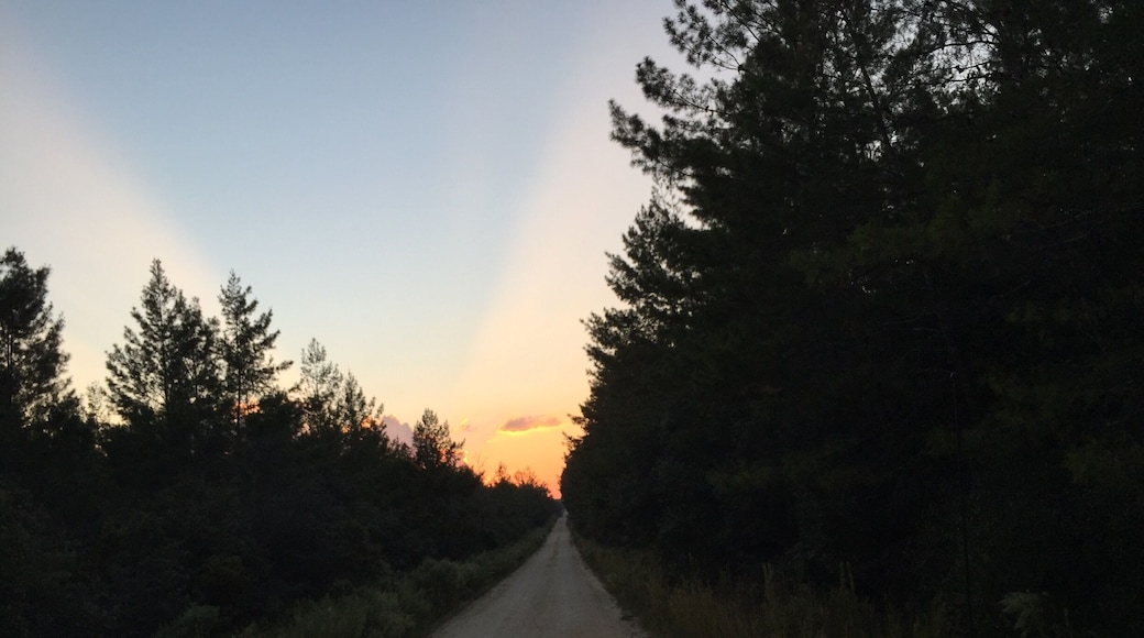 Riding the back forest roads at sunset. This is such a peaceful place. #camping