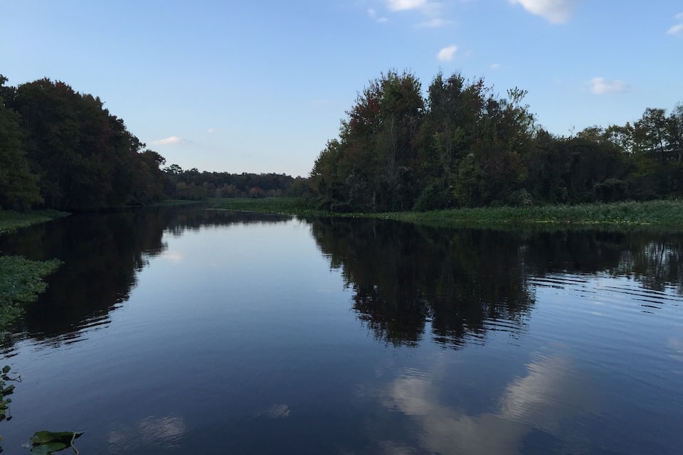 A calm river reflecting trees and sky.